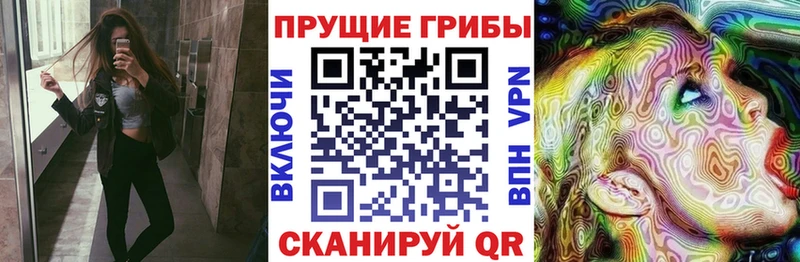 Купить  Добрянка  Галлюциногенные грибы Psilocybe 